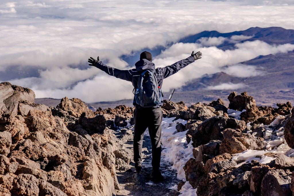 A hiker celebrates reaching a mountain peak, surrounded by rocky terrain and clouds.